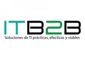 B2B IT Training