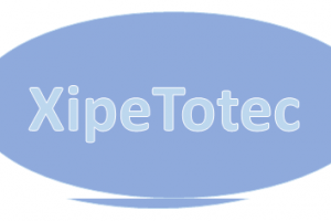 Xipe y Asociados