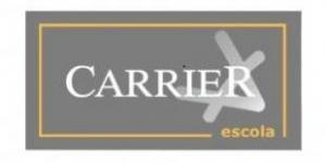 Pc Carrier