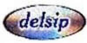 Delsys S.A.
