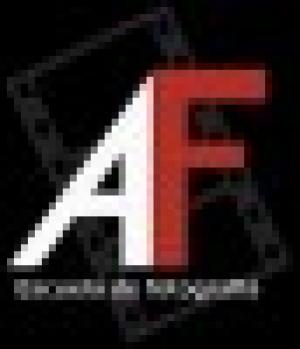 Flash Anular