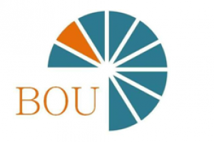 Grupo Bou