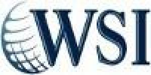 Wsi Consulting Team