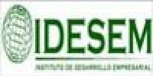 Idesem