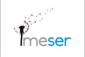 IMESER
