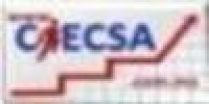 Capacitación Integral Ejecutiva Y Computación