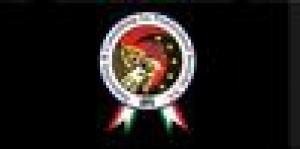 ICPS - Falcone's System International