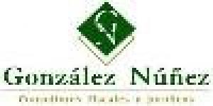 Asesores Empresariales González Núñez Celaya