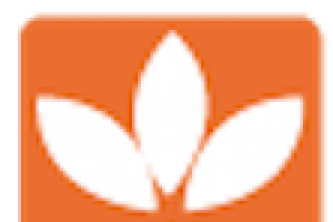 TreeSolutions
