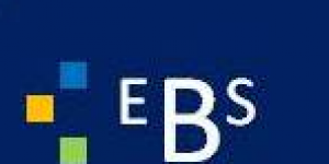 EBS Consultores
