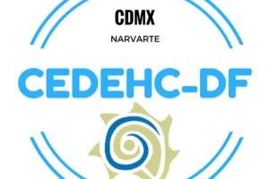 Cedehc DF