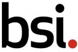 BSI Group México