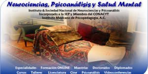 Instituto de Neurociencias, Psicoanàlisis y Salud Mental