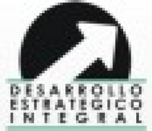 Desarrollo Estratégico Integral