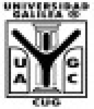 Universidad Galilea