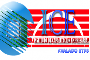CAPACITACION EMPRESARIAL ICE