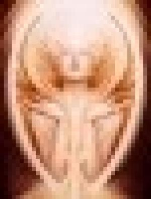 Centro de Desarrollo Integral Y Autoconocimiento