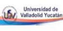Universidad de Valladolid Yucatán