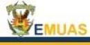 Emuas Escuela de Música de la U. A. S.