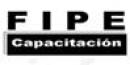 Formación Integral Profesional Especializada