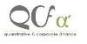 Qcf Consulting Group