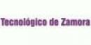 Instituto Tecnologico de Estudios Superiores de Zamora