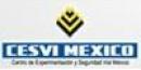Cesvi México