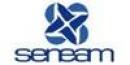 Seneam