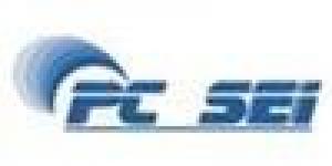 PCSEI (Servicios Especializados en Internet) 