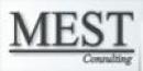 MEST Consulting