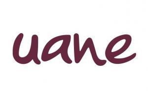 Universidad Americana del Noreste - Sede Monterrey