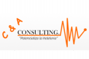 C&A Consulting