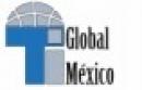 TI Global Mexico