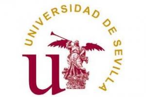 Universidad de Sevilla Campus Virtual elearning. Facultad de Ciencias de la Educación
