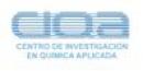 Centro de Investigación en Química Aplicada
