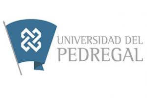 Universidad Del Pedregal