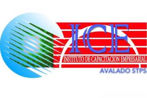 Instituto de Capacitación Empresarial ICE