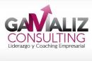 Gamaliz Consulting