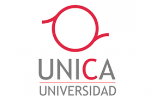 Universidad Unica