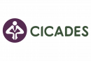 Cicades