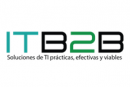 B2B IT Training