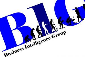 B1G Consulting