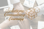 Solutions Consulting Learning