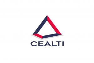 Centro de Capacitación y Consultoría CEALTI.